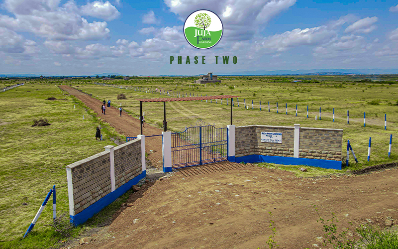 Affordable Plots for sale in Juja Farm | Jujafarm Gardens Phase 2 